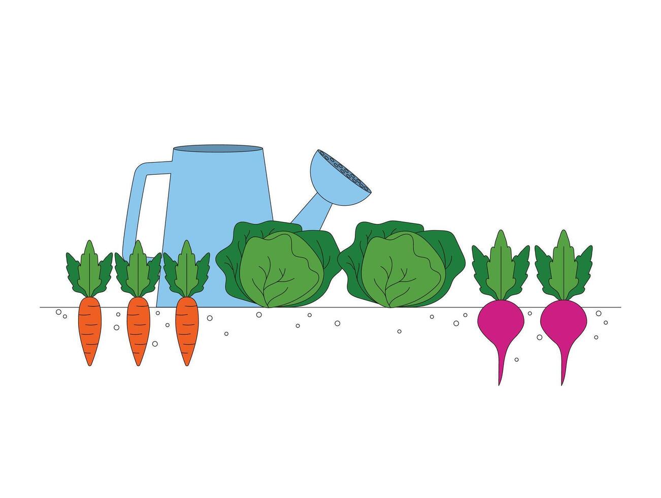 jardinería. cosecha. zanahorias, repollo, remolacha crecido vegetales. vector gráfico.