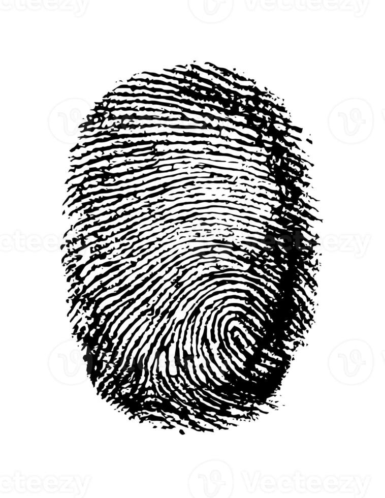 Real fingerprint in white background Super macro photo