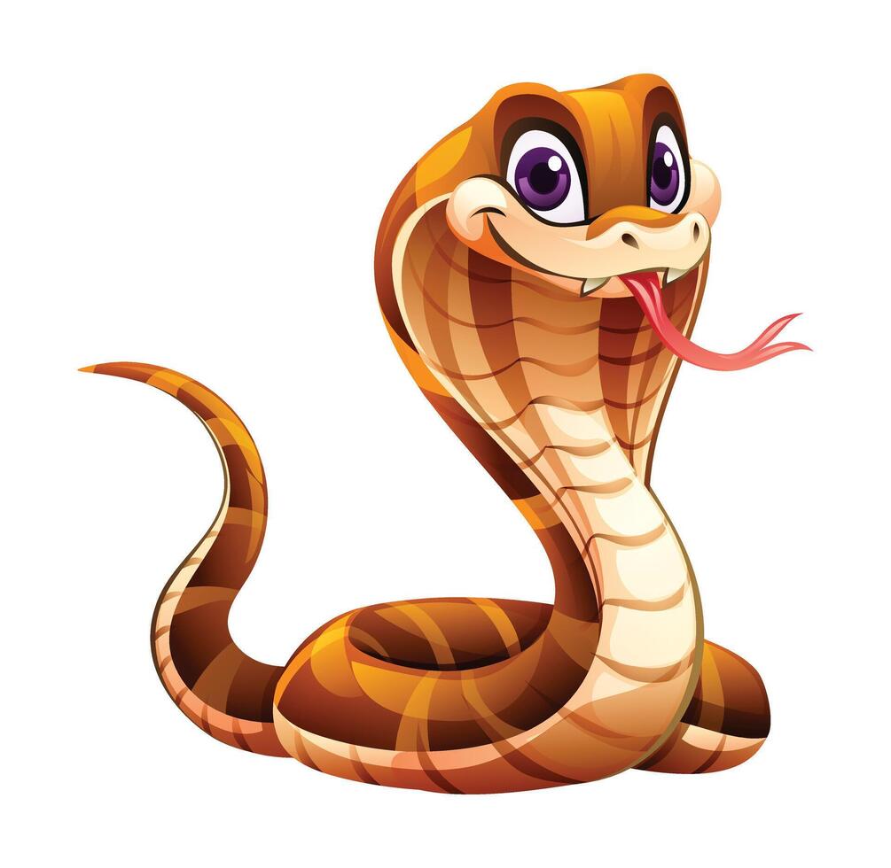 Cartoon cobra snake vector illustration isolated on white background