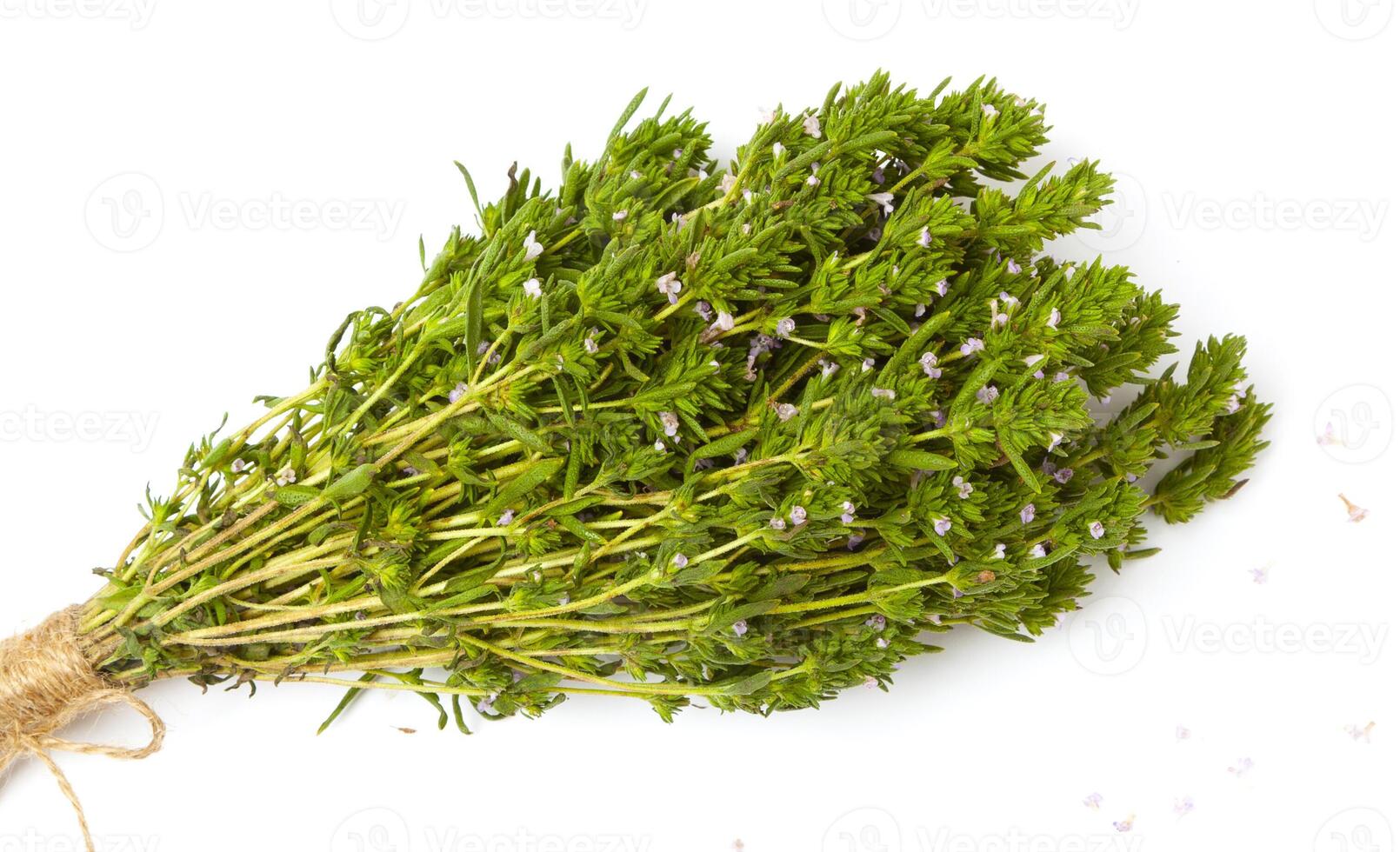 bunch of thyme twigs isolated on white background photo