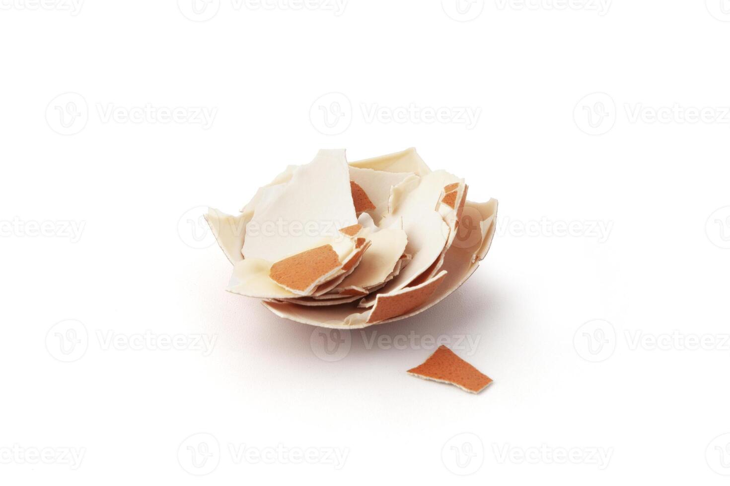 remains of eggs shell closeup isolated on white background photo