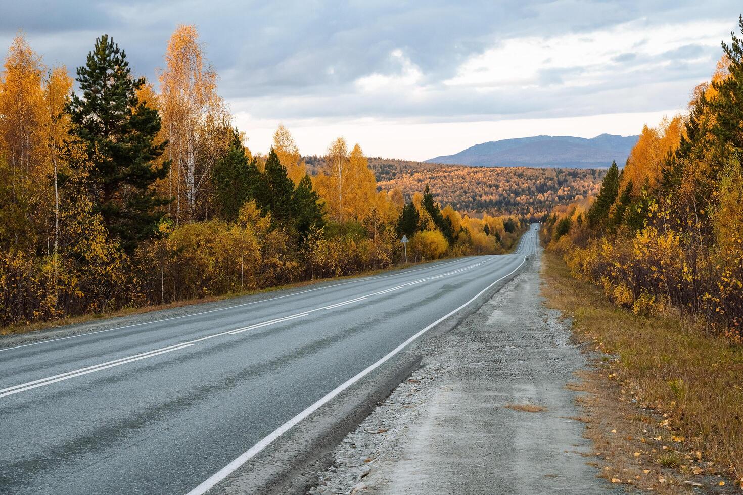 Panoramic view of the long straight road towards the mountains through the autumn forest. Travel to the mountains, family vacation, outing to nature in autumn, climbing and walking through the forest photo