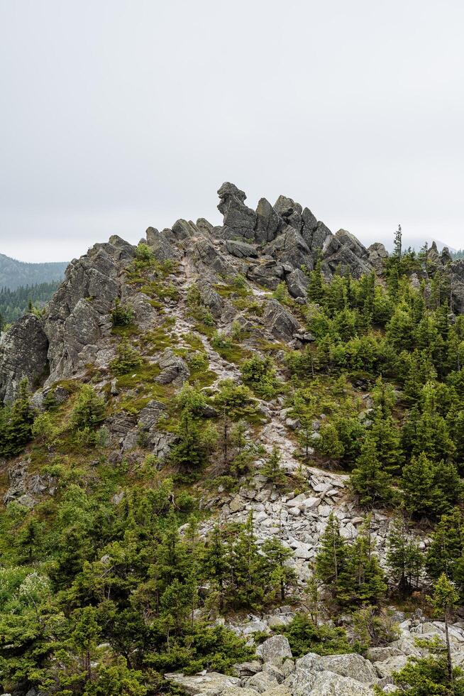 Magnificent view of the mountainous hill with sharp peaks. There is not a cloud in the sky, bright green firs grow on the mountain. photo