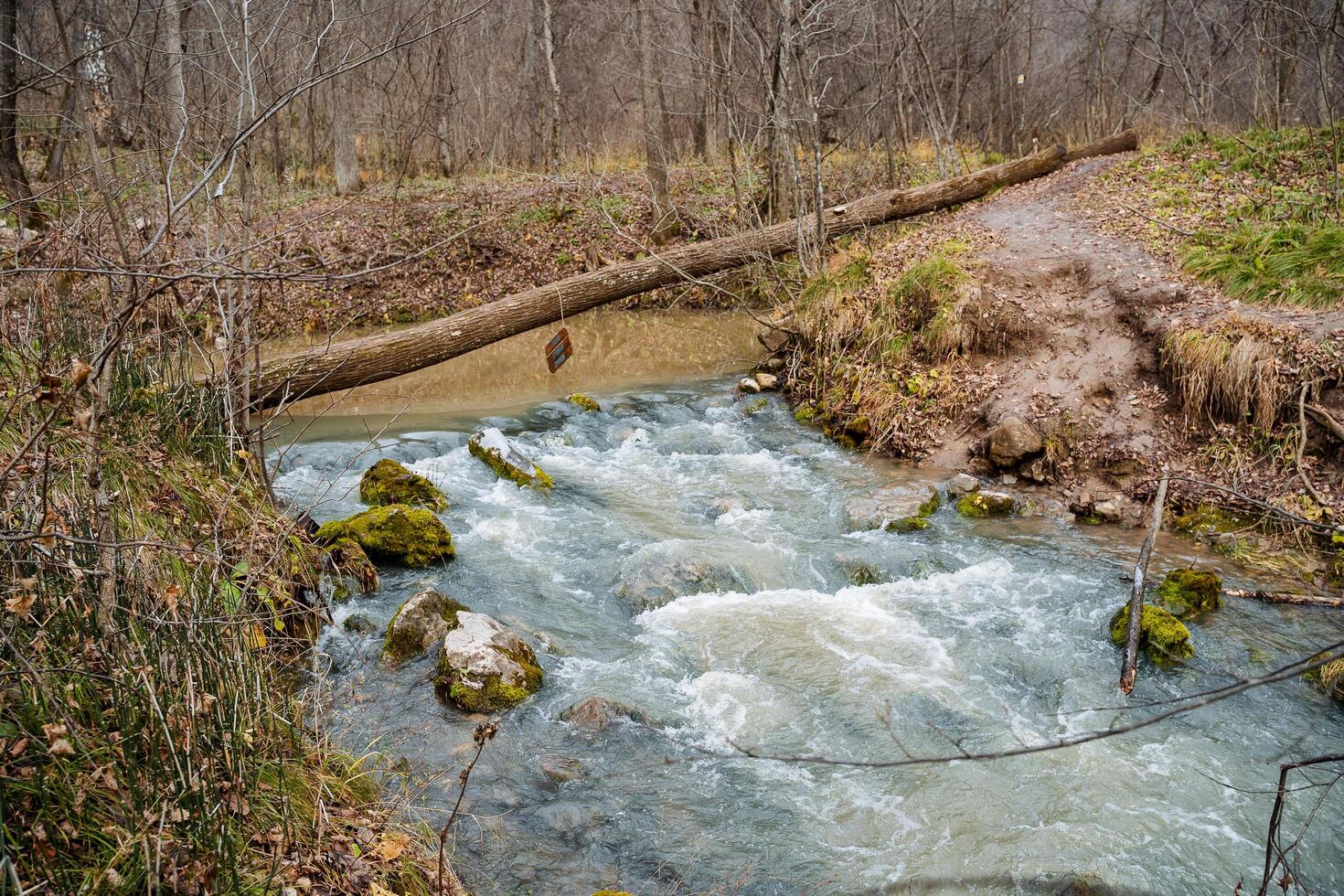 un burbujeante corriente de puro azul agua, el fondo de el río es cubierto con agudo piedras con verde musgo. alrededor el otoño bosque, el gradual comienzo de frío clima. foto