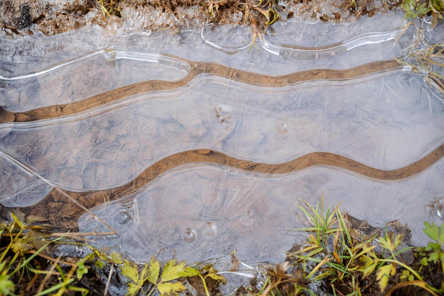 A crust of ice in a puddle, a view from above. Clean water, you can see the bottom of the puddle. photo