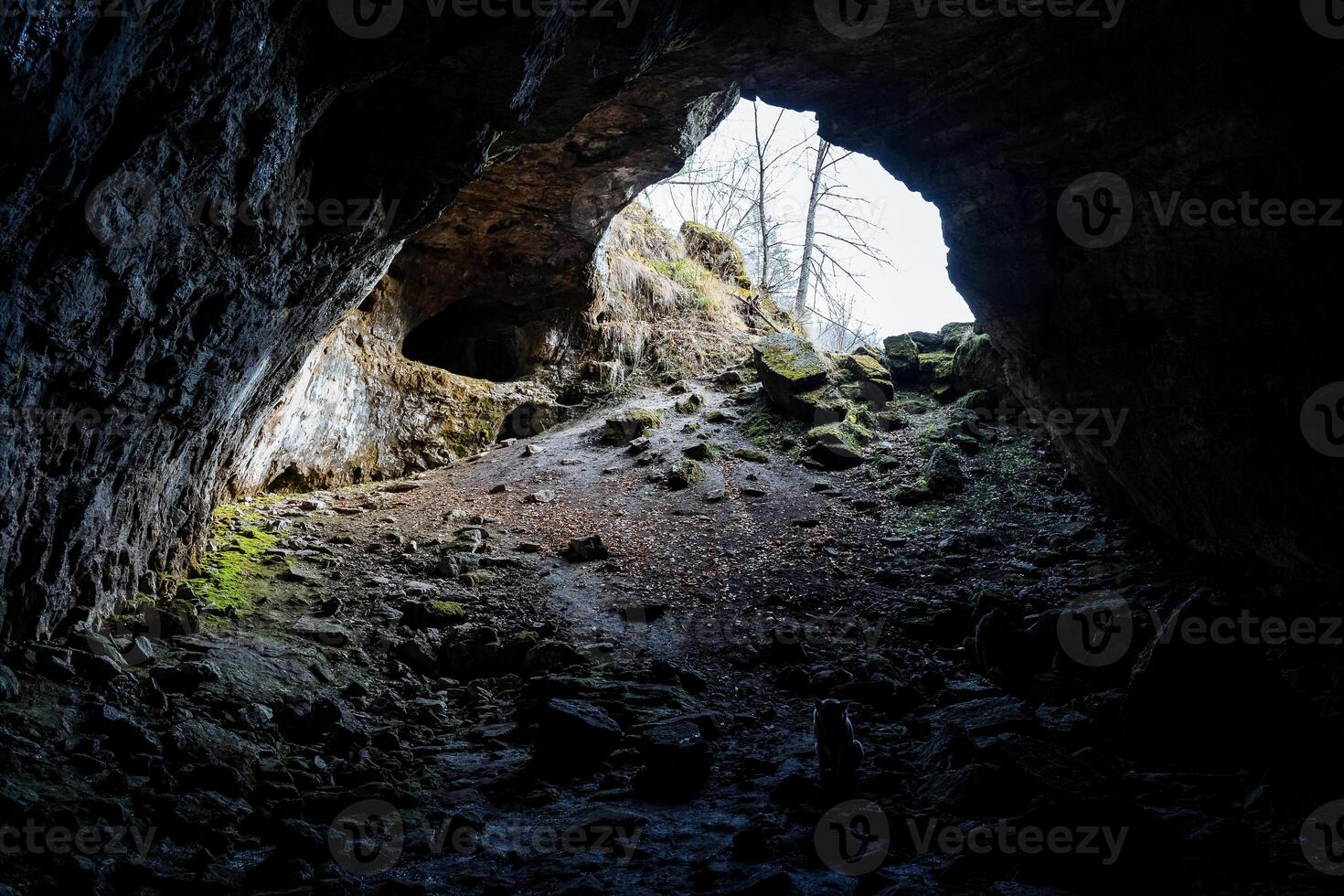 the exit from the cave. sunlight penetrates and illuminates the exit from the cave, the walls are covered with green moss. Exploring caves and wildlife. High quality photo