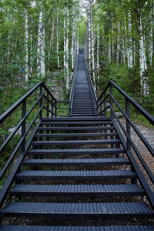 An iron staircase going far up through a birch grove. Walk through the forest in the fresh air. photo
