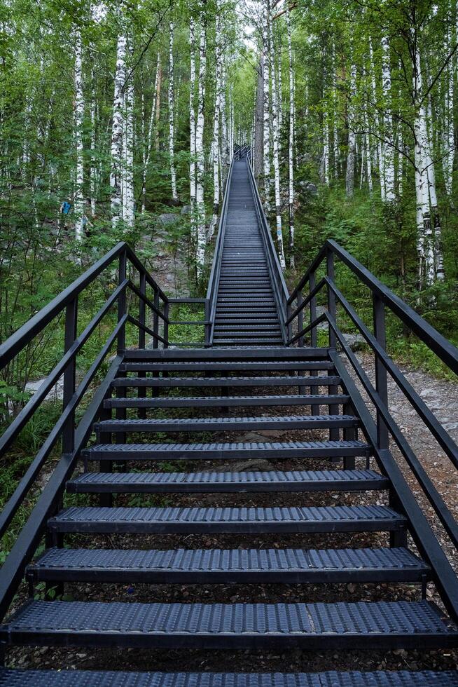 un hierro escalera yendo lejos arriba mediante un abedul arboleda. caminar mediante el bosque en el Fresco aire. foto