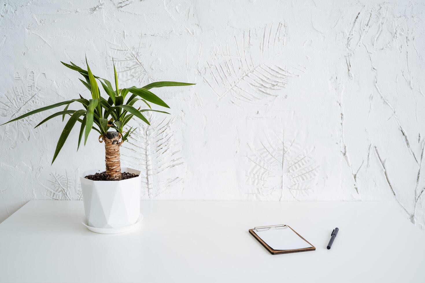 A small pot of ficus is on the table. A notebook with blank sheets and a pen lie side by side. Minimalist work desk. Potted houseplant photo