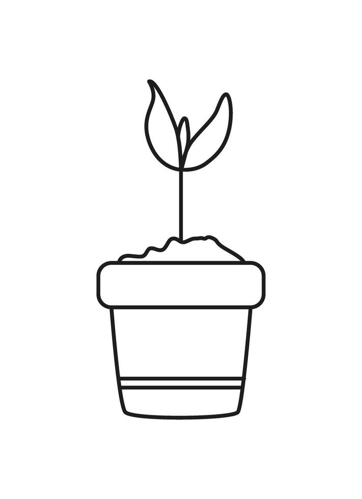 Linear sprout in pot. Botanical drawing, plant. Line art. Doodle and icon. Coloring page. vector