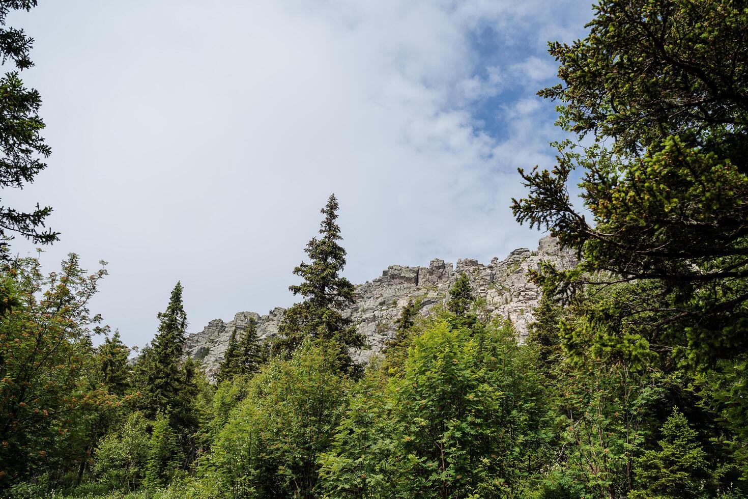 Panoramic view of the mountains on a sunny day, endless green fir forest around the peaks. The sky is covered by a large white cloud, through which the sky can be seen. photo