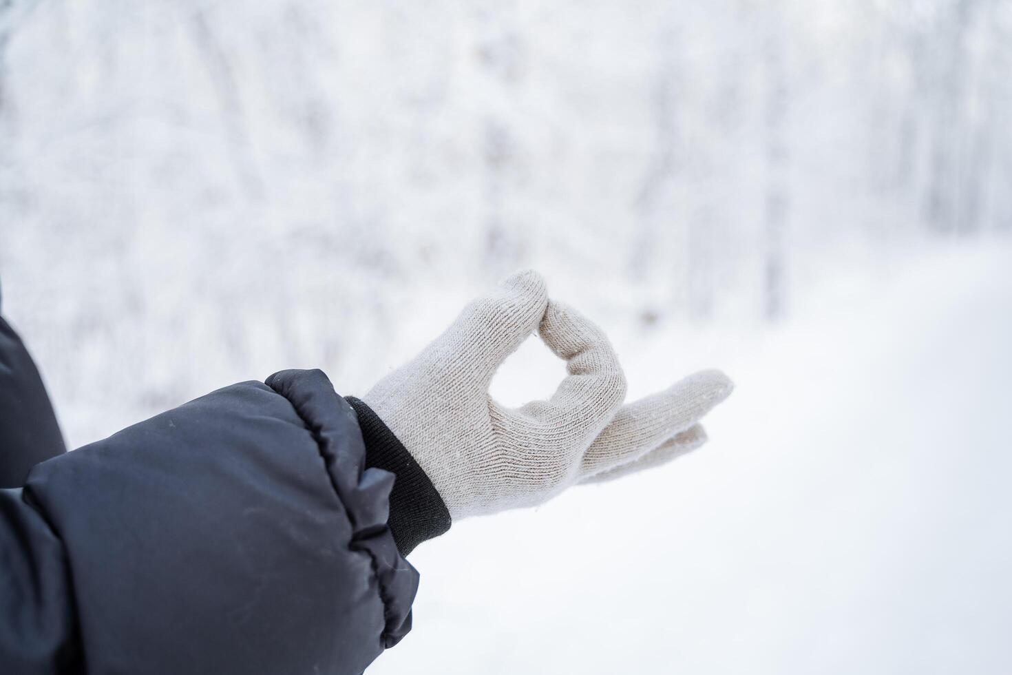 Hands in gloves against the background of the winter forest. Winter is coming. A walk in a snowy white grove. Frosty wind, frozen hands photo