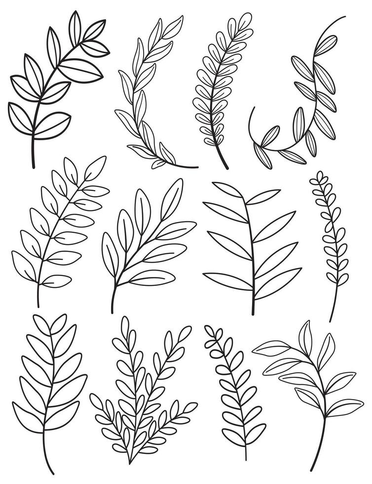 Set of leaves. Hand drawn decorative elements. Vector illustration