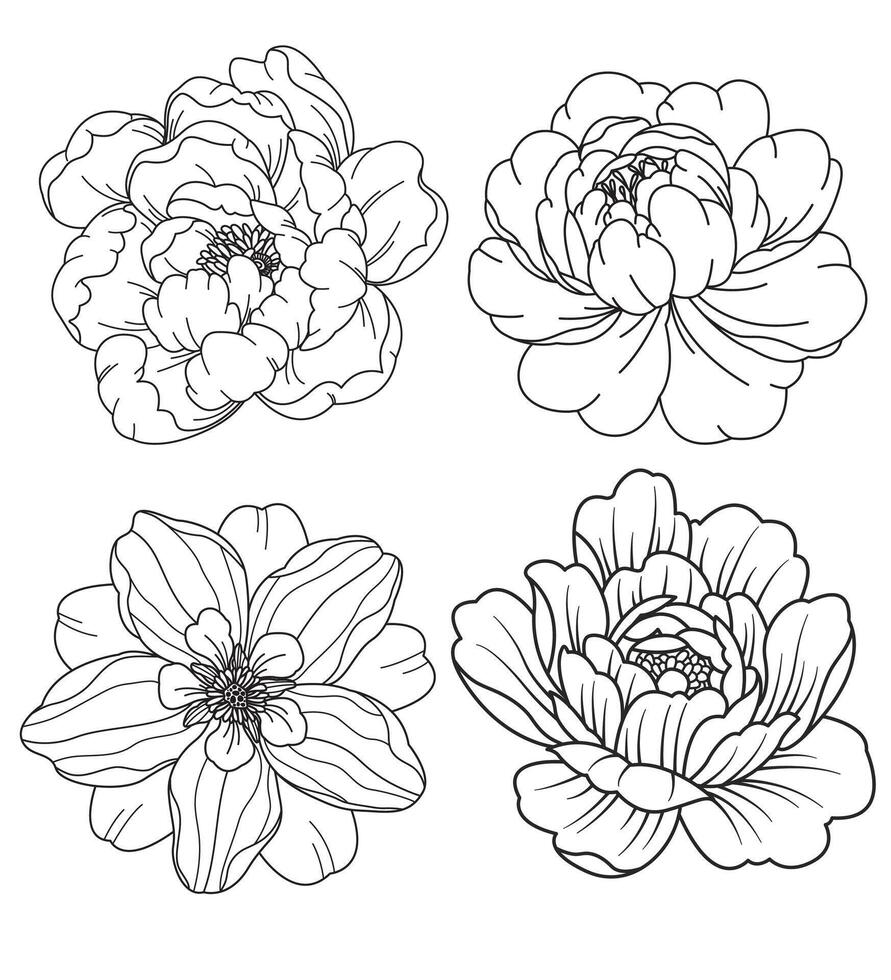 Set of flower. Hand drawn decorative elements. Vector illustration