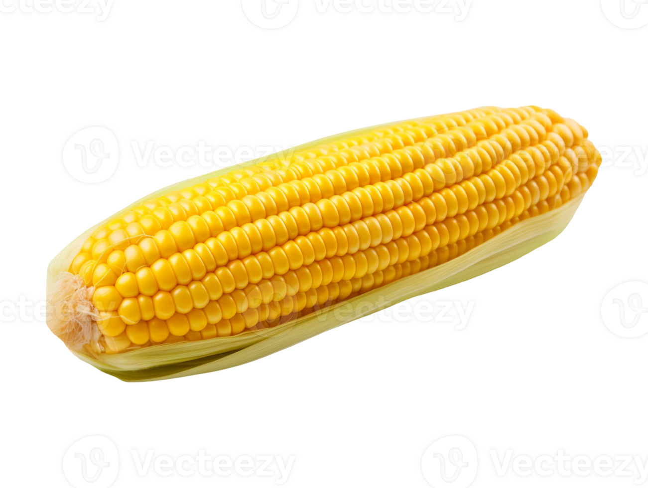 AI generated Corn vegetable object png file