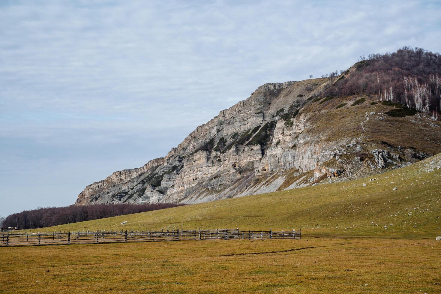 Mountain landscape on a cloudy day, a rocky pass on which pines and firs grow, in the valley part of the territory is fenced. Activities in the mountains, breathtaking wildlife photo