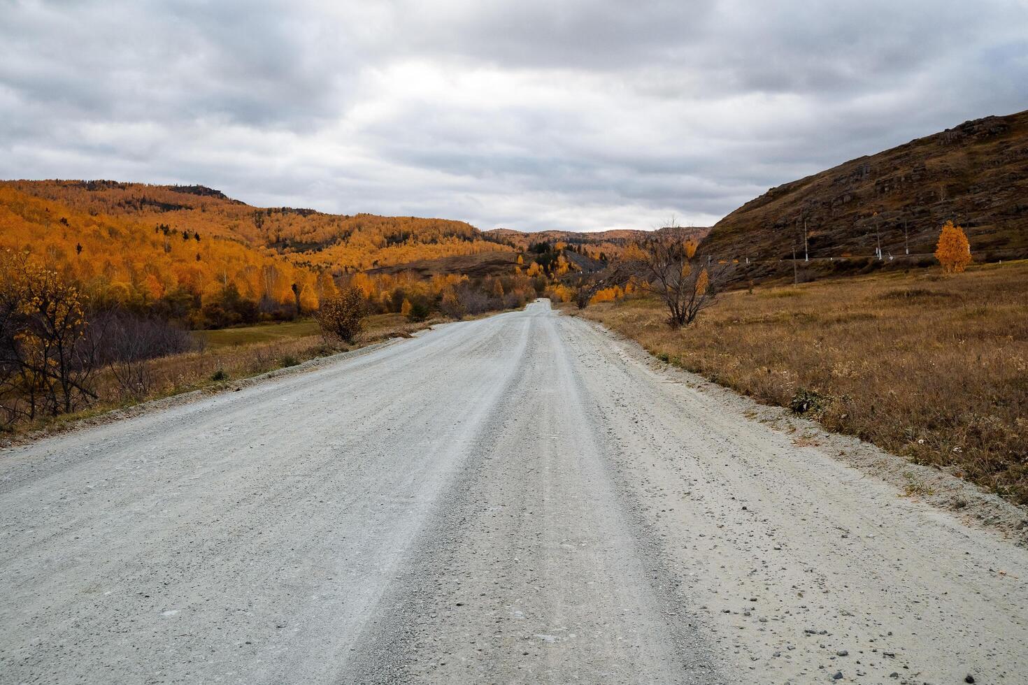 Panoramic view from the road to the autumn golden forest on the left side and the mountains. Walk in the fresh air, travel by car photo