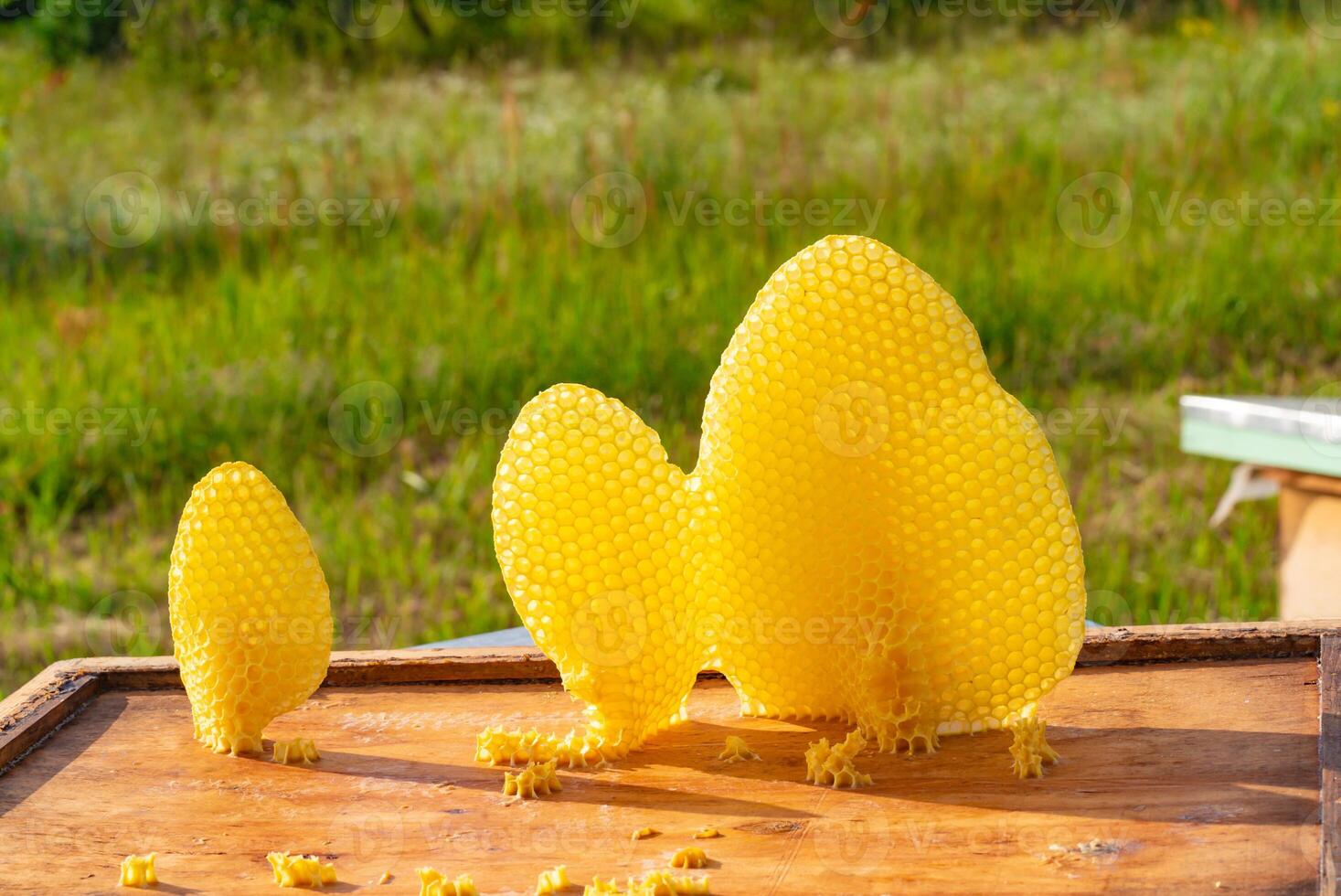 rounded yellow honeycombs with honey stand on the beehive on the background of grass in the summer. Close-up photo