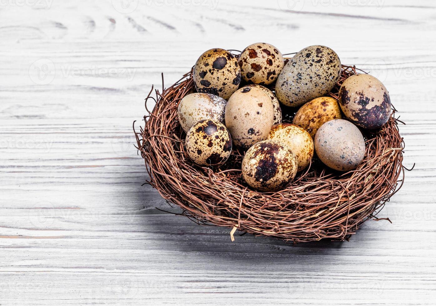 Speckled quail eggs in a nest made of twigs over the light wooden background. Brown bezel with eggs. Space for text photo