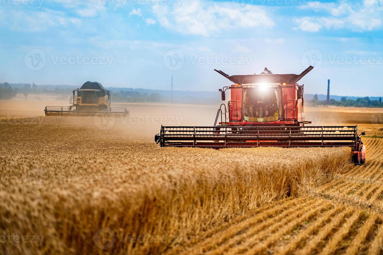 Grain harvesting combine in a sunny day. Yellow field with grain. Agricultural technic works in field. photo