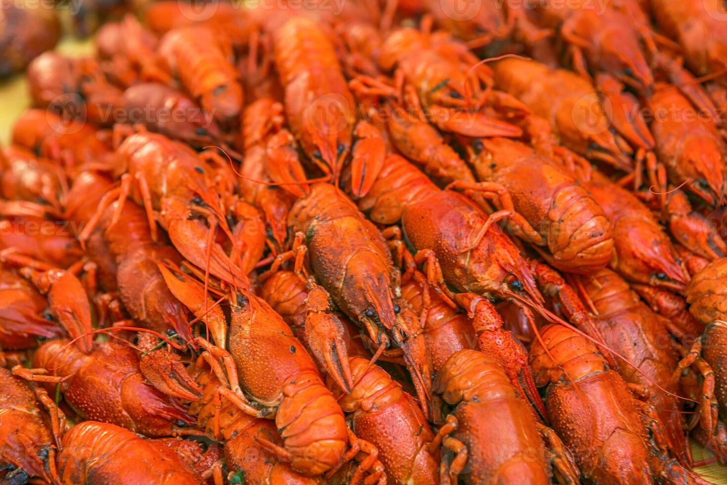 Boiled big crawfish close up view from the top. Cooked crayfish with dill. Beer snack. Crayfish to beer. photo