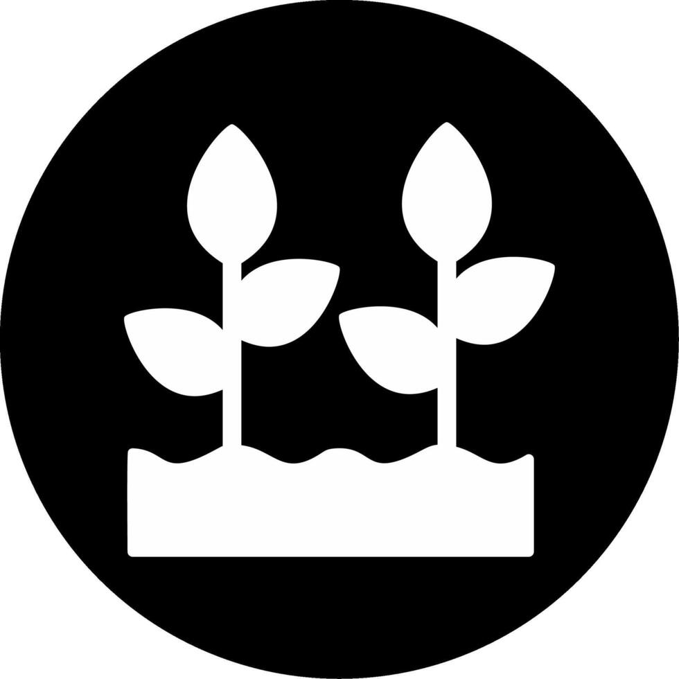 Plant Growing Vector Icon