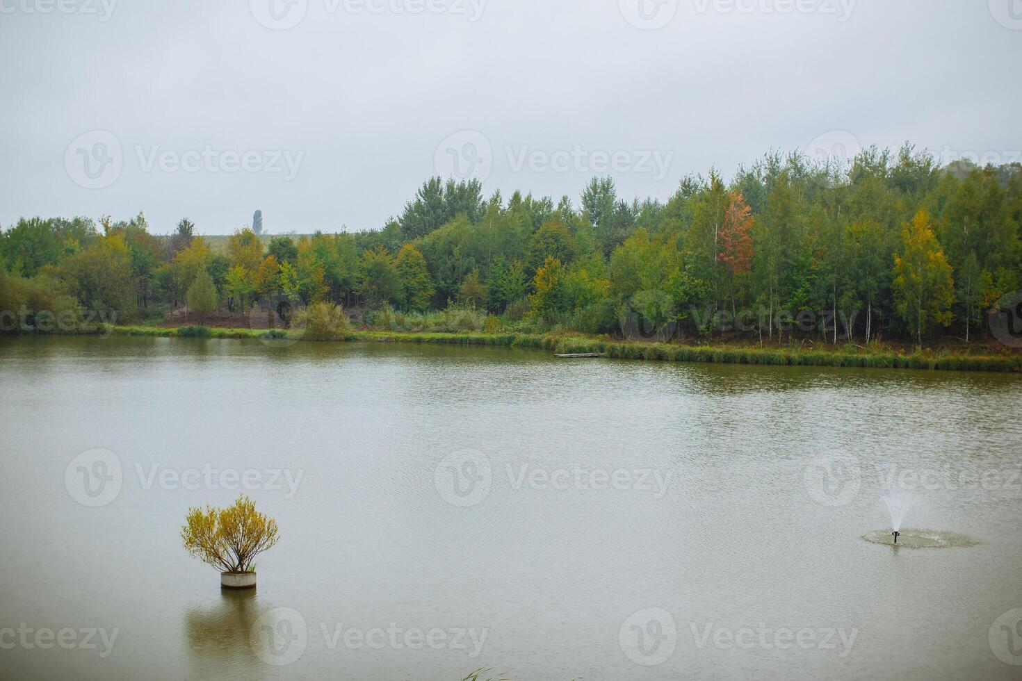 Autumn landscape with wide lake near the green forest. A nice calm lake with a small font in nature. photo