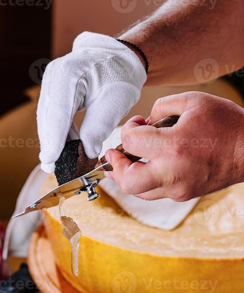 Chef Grating Truffle Shavings on Pasta with Parmesan photo