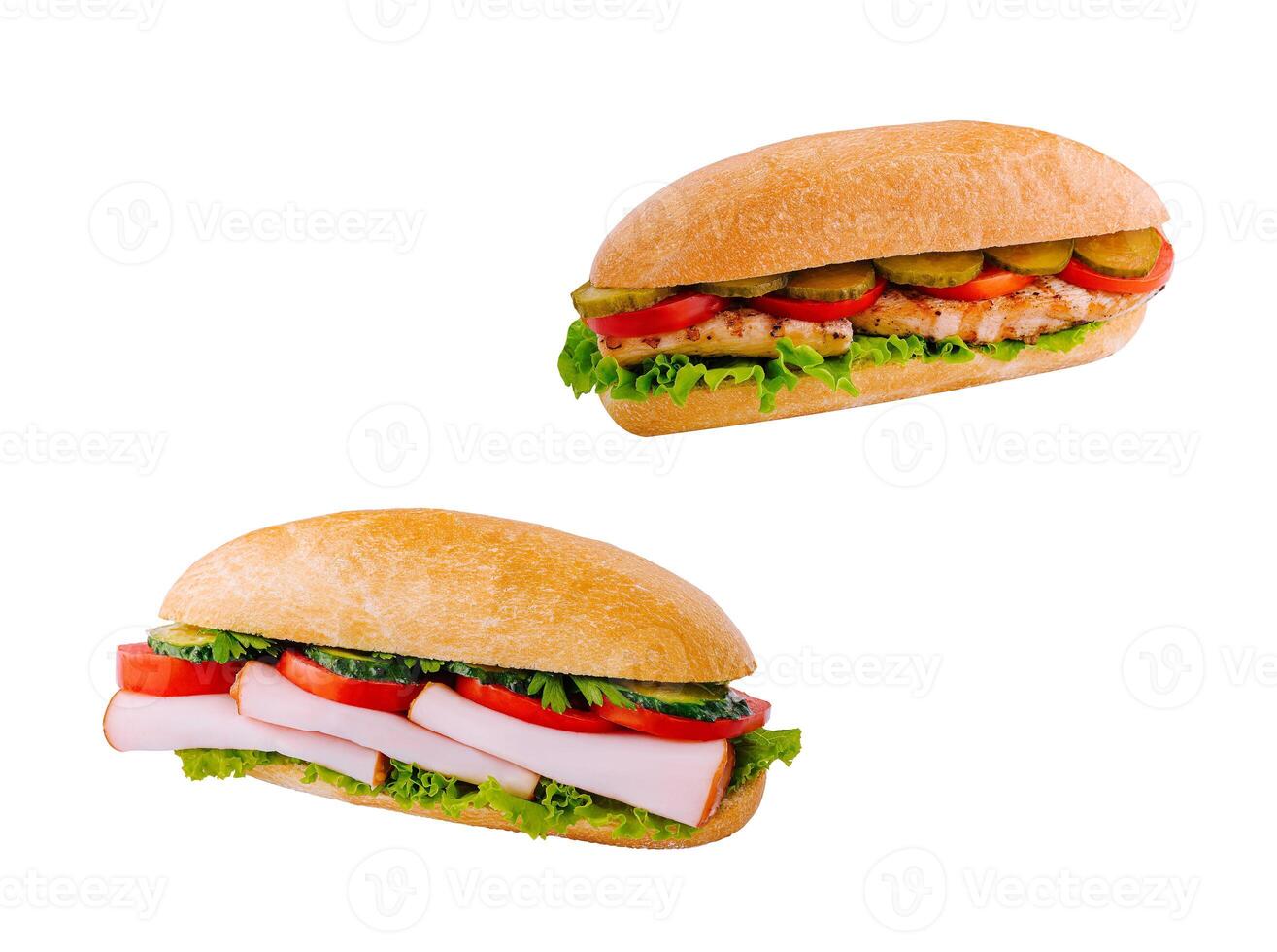 Grilled Chicken and Vegetable Sandwiches isolated photo