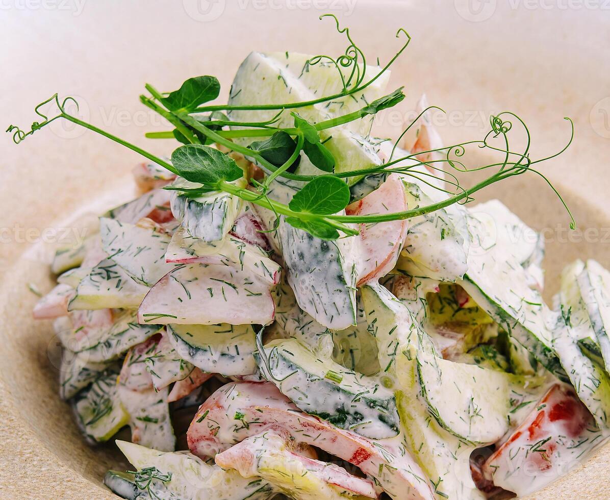 Salad with fresh vegetables and cream sause on plate photo