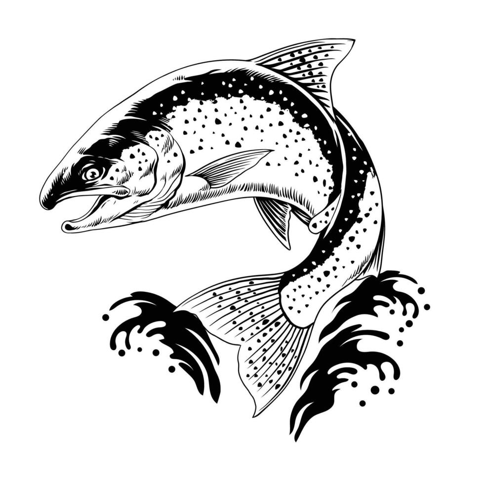 trucha pescado saltando mano dibujado ilustración vector