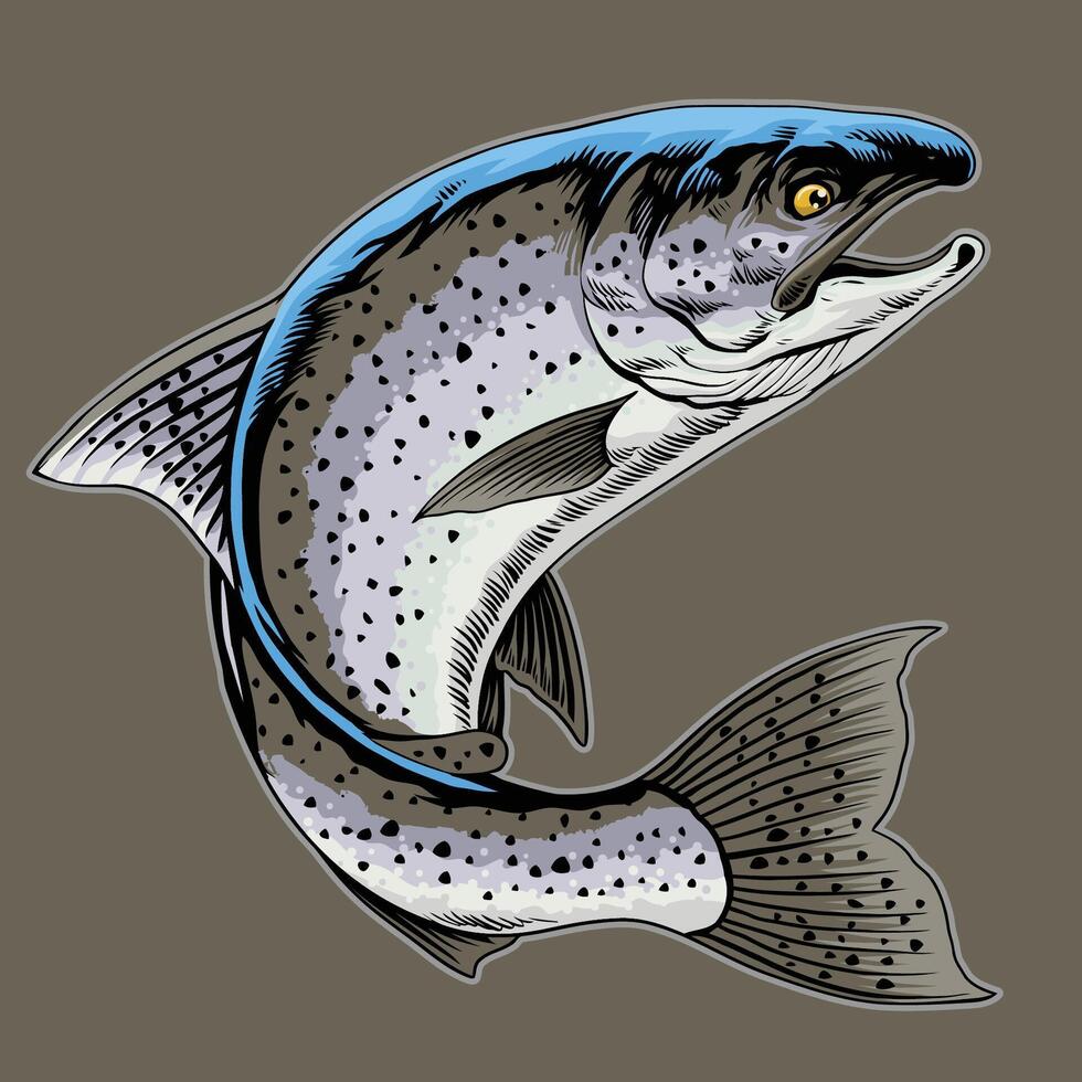 Realistic Trout Fish Hand Drawn Vintage Illustration vector