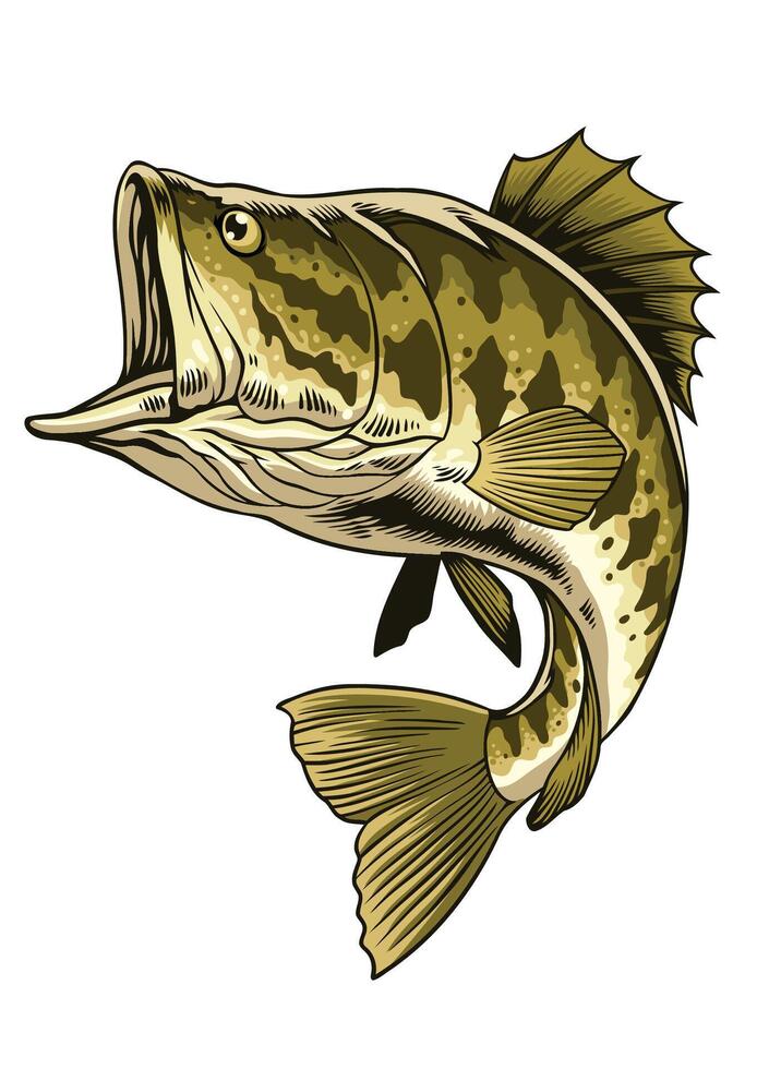 Hand Drawn Illustration of Largemouth Bass Fish vector