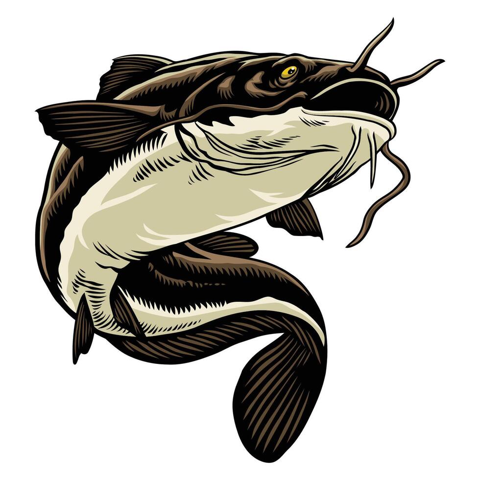 Hand Drawn Illustration of Catfish Isolated vector