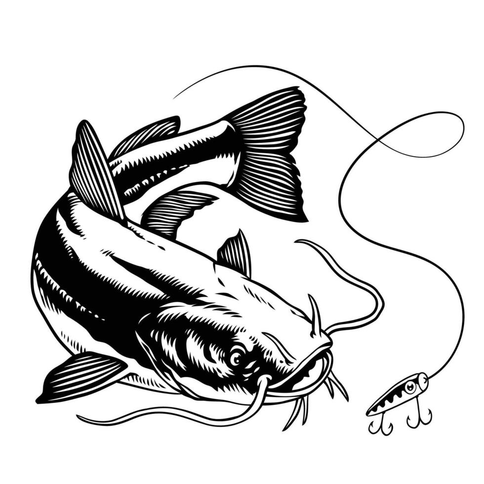 Catfish Swimming Catching the Fishing Lure in Black and White vector