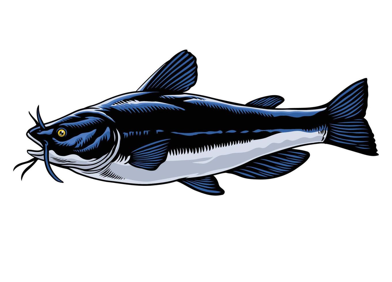 Hand Drawn of Catfish Illustration vector