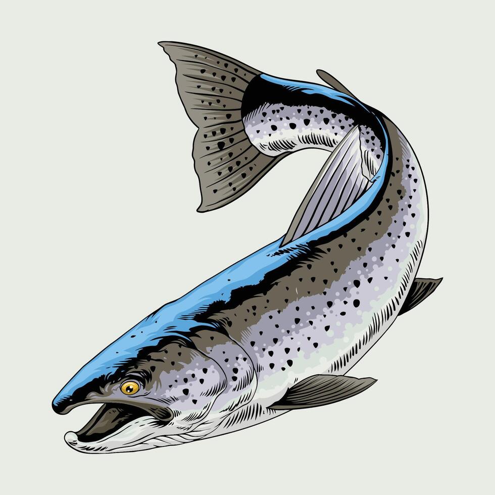 trucha pescado mano dibujado ilustracion vector