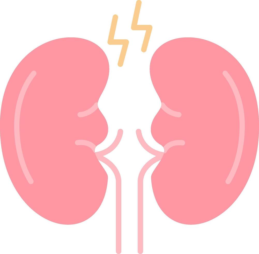 Kidney Flat Light Icon vector