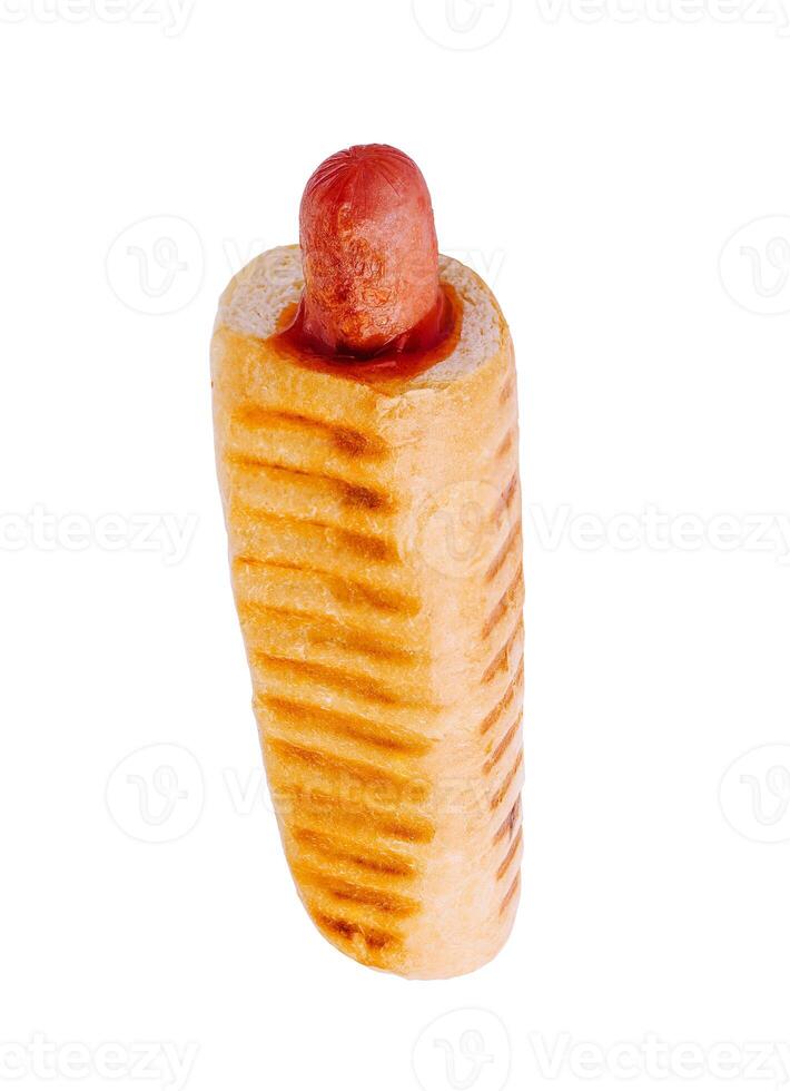 hot dog isolated on white background photo