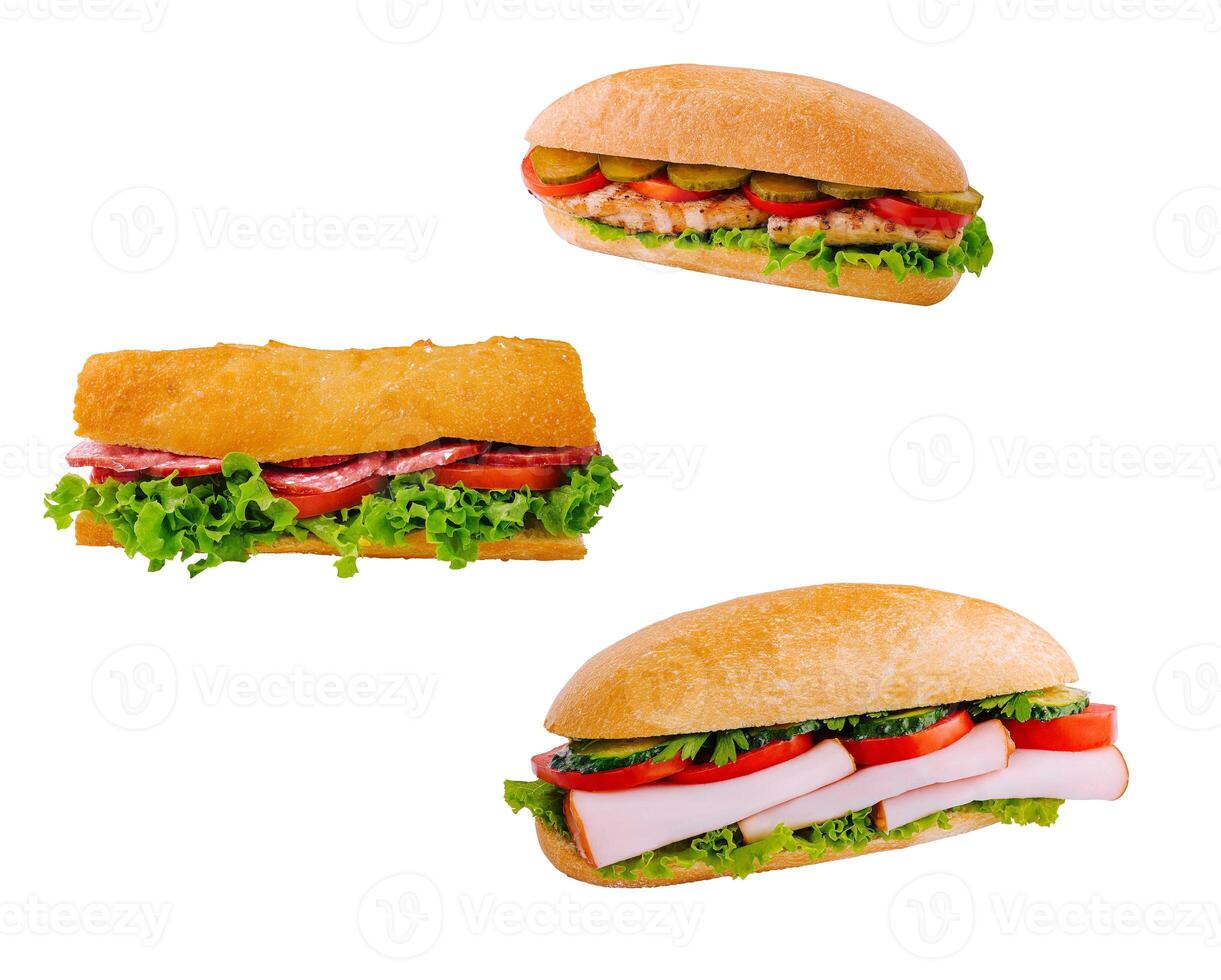 Grilled Chicken and Vegetable Sandwiches isolated photo