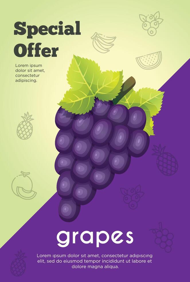 Flyer special offer for grapes fruit product. Fruit promotion flyer vector