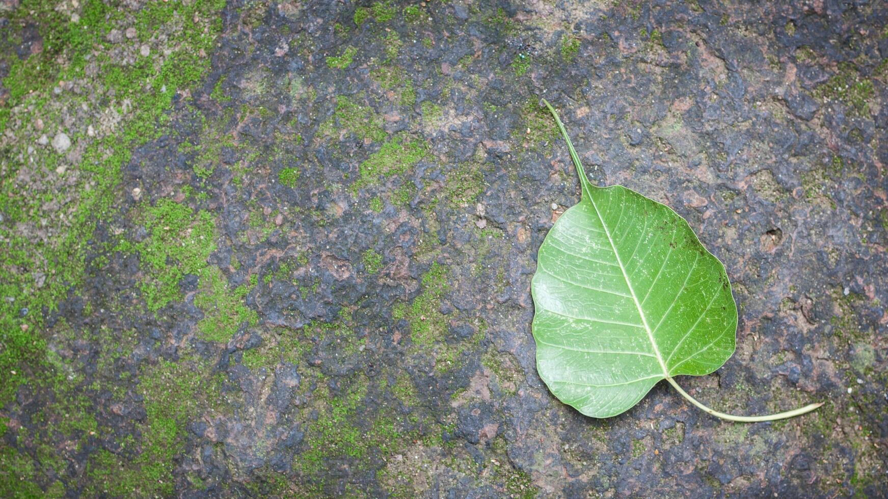 background image Theme Cement photo