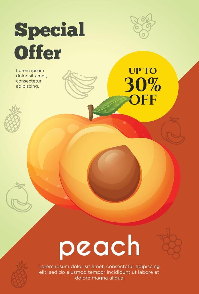 Flyer special offer for peach fruit product. Fruit promotion flyer vector