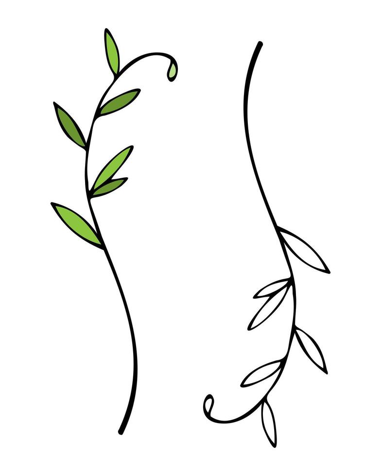 Minimal hand drawn floral botanical doodles. Fashionable elements of wild and garden plants, branches, leaves, flowers, herbs. Vector illustration for logo or tattoo, invitation, save the date, card