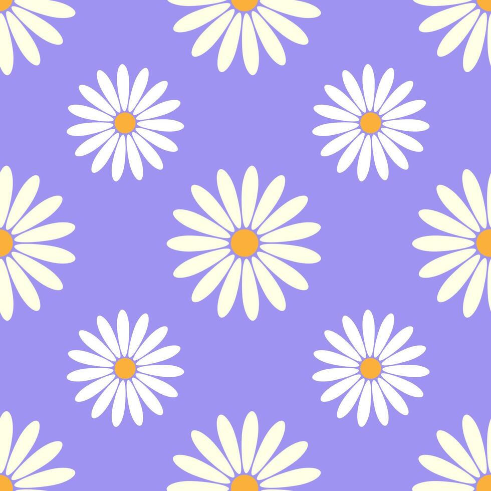 Pattern of white chamomile and daisies on lavender purple background. vector