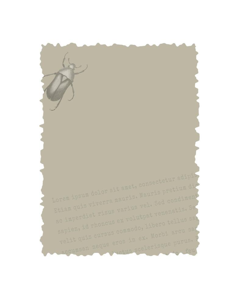 Digital scrapbooking element old vintage paper with Lorem ipsum text and beetle stamp, for vintage collage design. vector