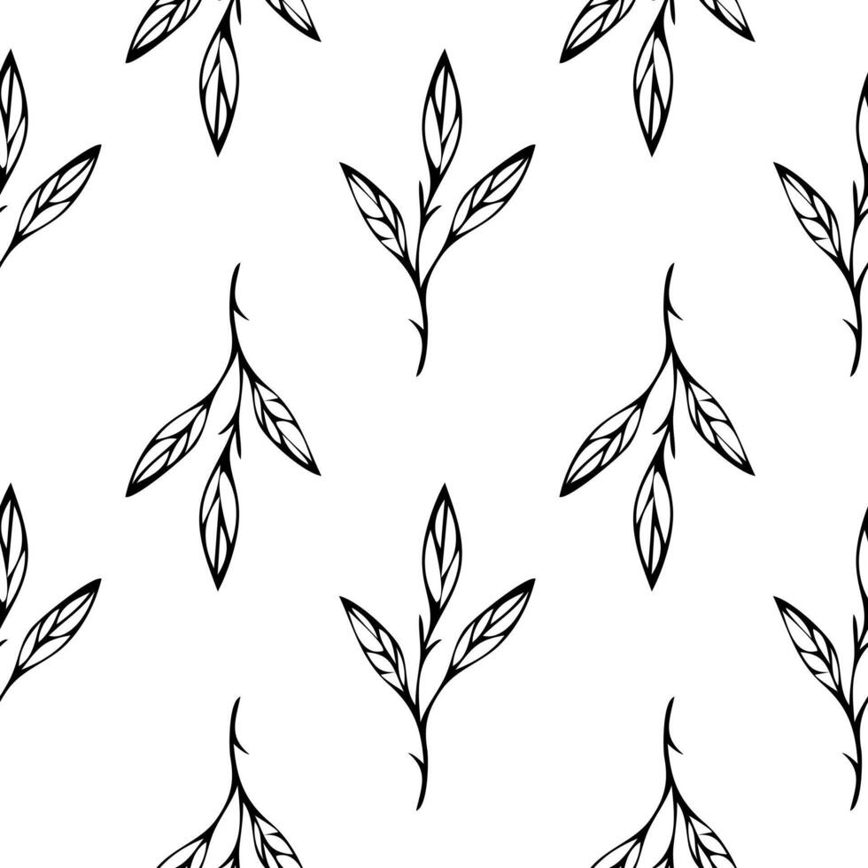 Seamless floral pattern. Endless botanical background. Spring flowers, wildflowers, repeating print. Black and white natural texture for fabric, textile design. Flat graphic vector illustration