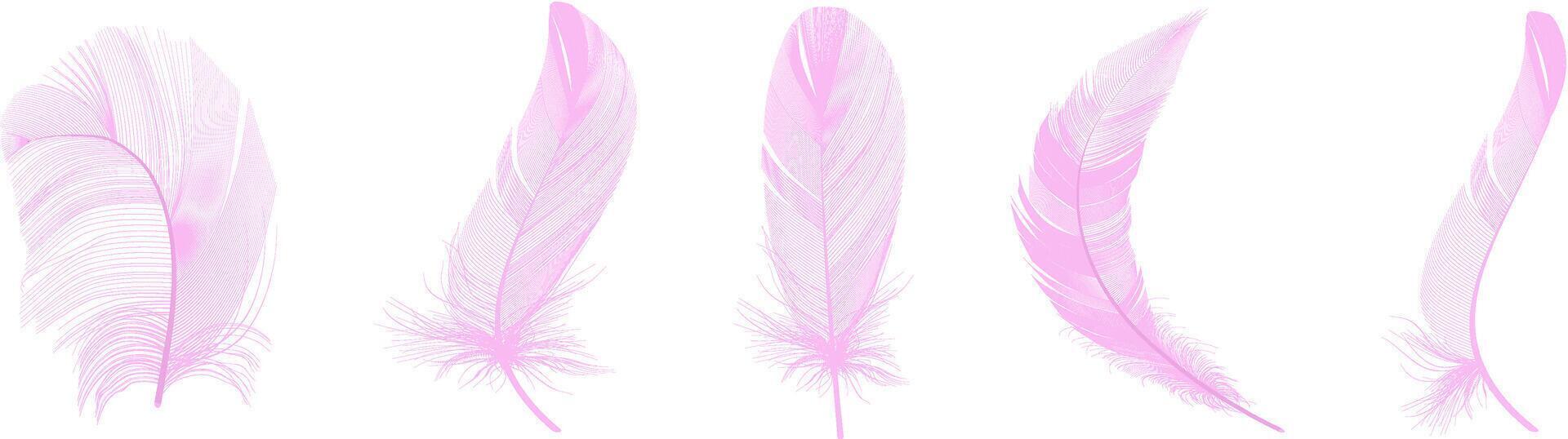 Set of realistic vector goose or swan feathers of various shapes. Ecological feather filler for pillows, blankets or jackets.Vector concept design,line art.