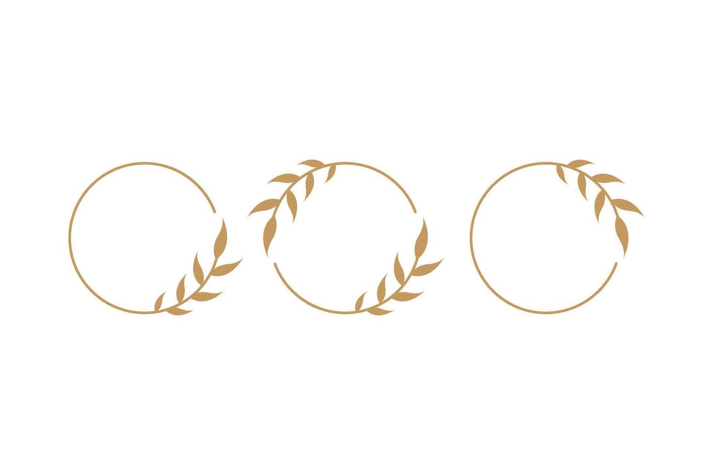 Gold logo tropical palm leaf. Round frame in minimal linear vector design template