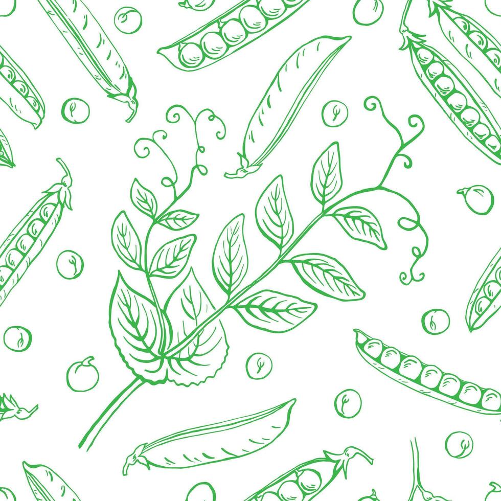 Seamless pattern with peas pods. Hand drawn vector illustration. Farm market product, vegetable.